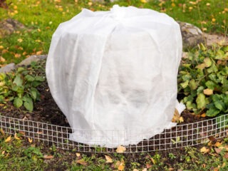Was ist eine Frostdecke im Garten - Wie funktioniert eine Frostschutzdecke?